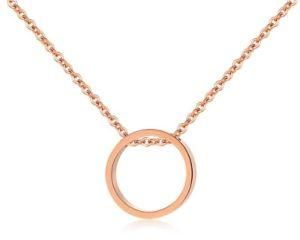 Fashion Exquisite Titanium Steel Neck Chain for Women Rose Gold Clavicle Necklaces Jewelry Gifts