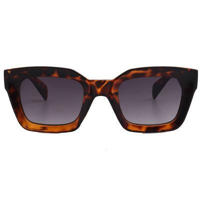 2020 Famous Brand Trendy Fashion Sunglasses