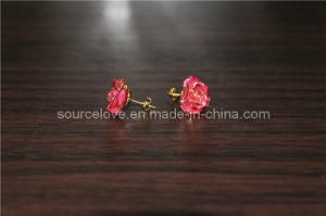 Fashion Earrings for Mother&prime;s Day Gift (EH082)