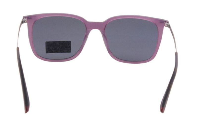 Xiamen Factory Launches New Simple Design Large Frame Womens Sunglasses