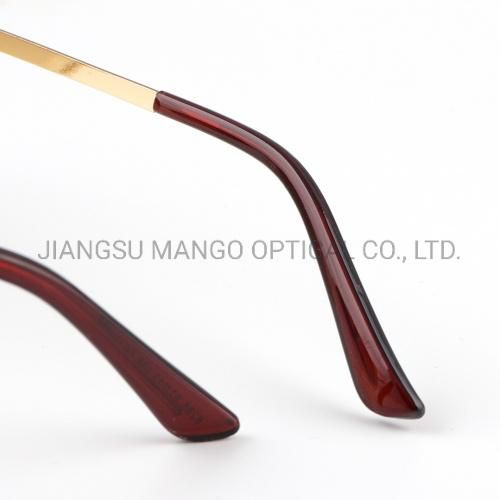 Full Metal Frame with Metal Arms Sunglasses