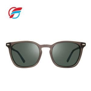 FDA Certification OEM Design Injection Tr90 Men Sunglasses