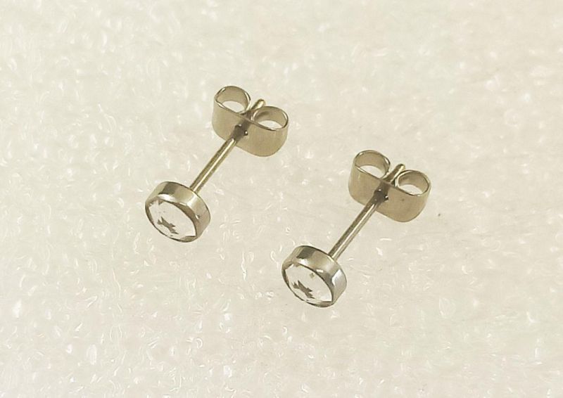 Fashion Jewelry ASTM F136 Titanium G23 Titanium Manufacturer Puncture Silver Jewelry Round CZ Ear Stud Earrings Hypoallergenic Titanium Earring Tper13