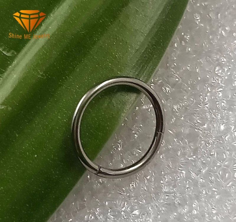 Body Piercing Titanium Piercing Inged Segment Rings Tp1969