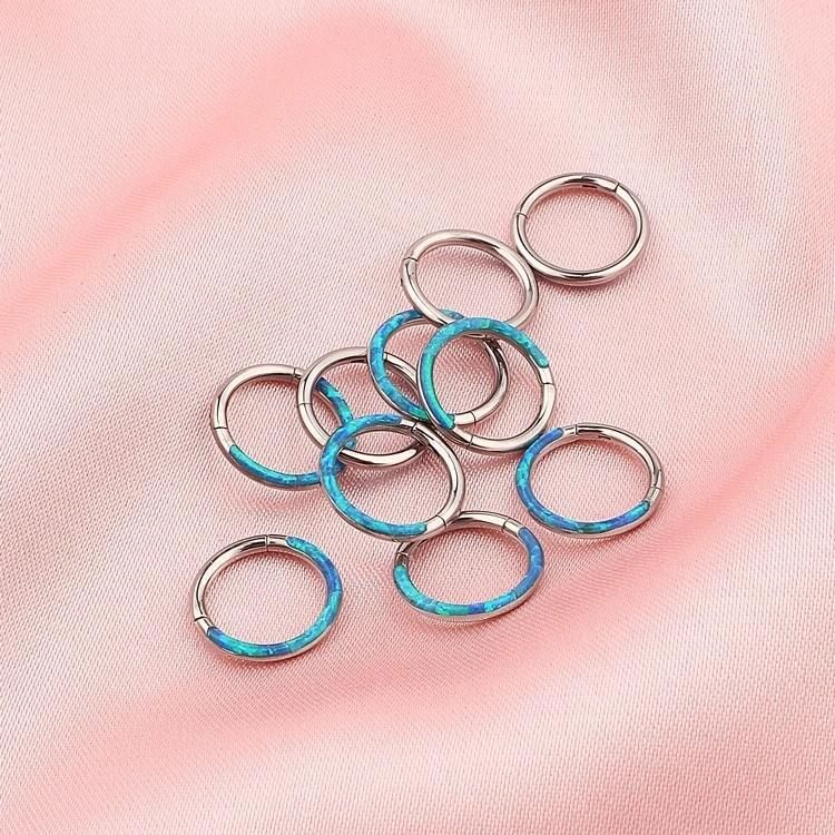 High Quality ASTM F136 Titanium Hoop Fashion Jewelry Hinged Segment Ring