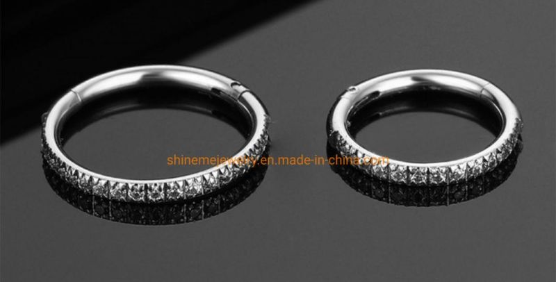 Fashion Jewelry 316L Stainless Steel Piercing Zircon Nose Ring Closed Ring Seamless Connection Nose Ring Earrings Segment Ring Sspr076