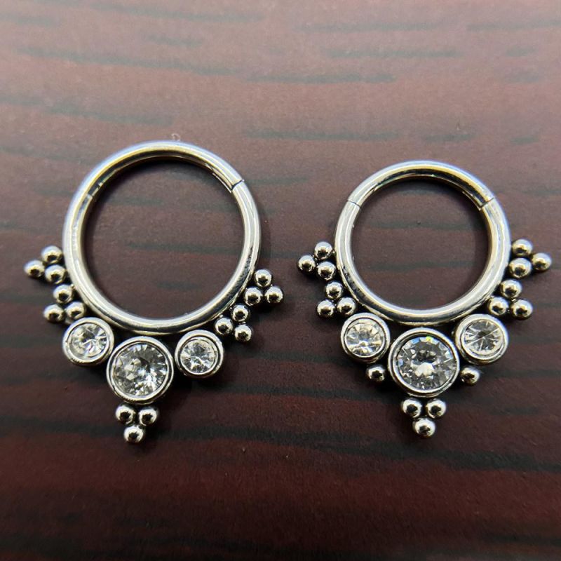 New Design 316L Stainless Steel Hinged Segment Clicker Ring Body jewelry Bezel Setting 5A Zirconia Steel Piercing