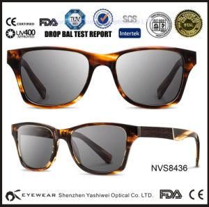 2015 Sense Fashion Latest Tr90 Sunglasses