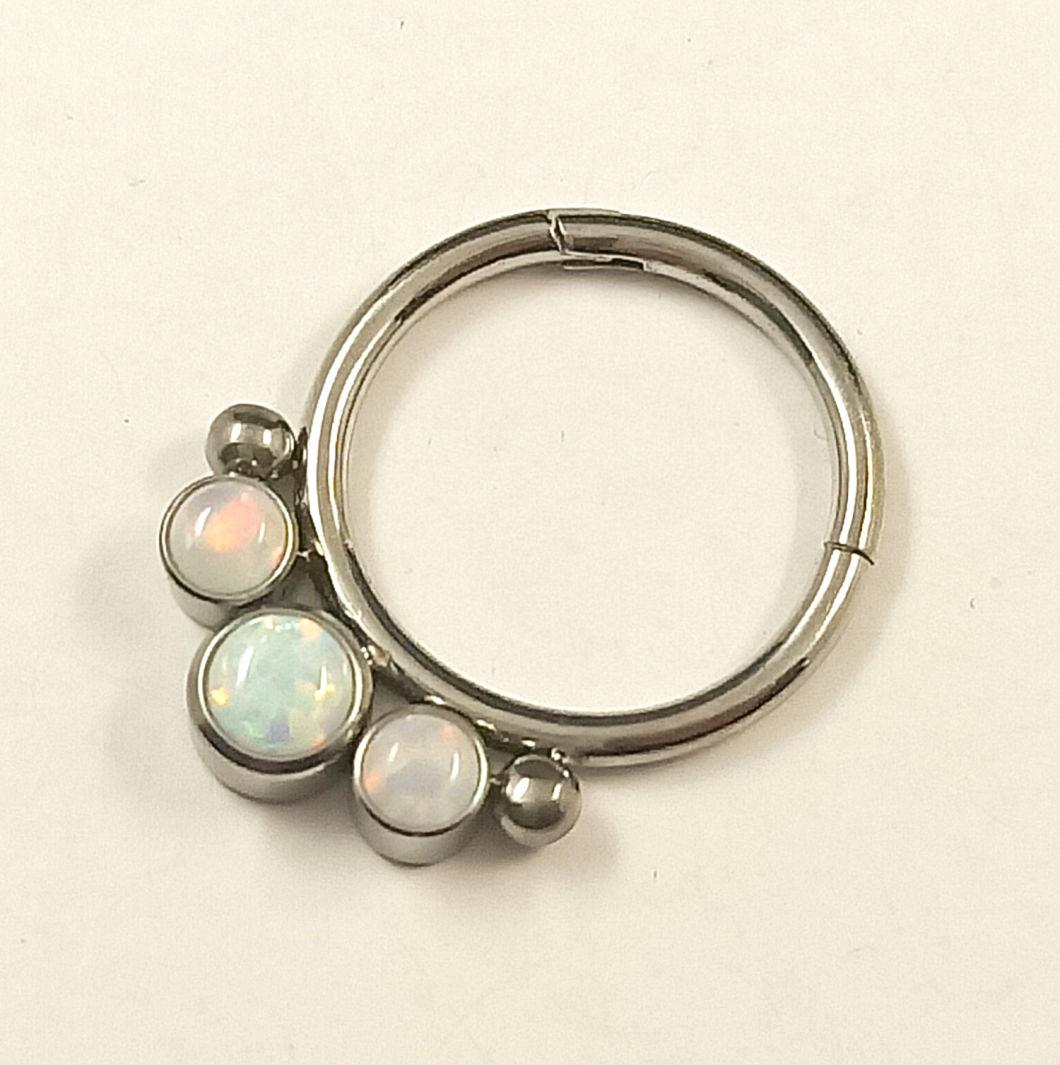 Fashion Jewelry Silver Jewelry Body Piercing ASTM F136 G23 Titanium Body Piercing Opal Hinged Segment Ring Nose Ring Tpn029