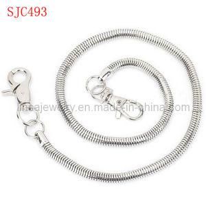 Fashion 316L Stainless Steel Snake Chain Jewelry (SJC493)