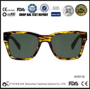 2015 August Newest Style Sunglasses