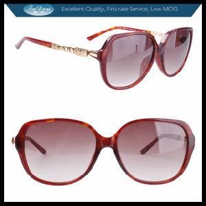 Ladies Popular Sunglass Eyewear