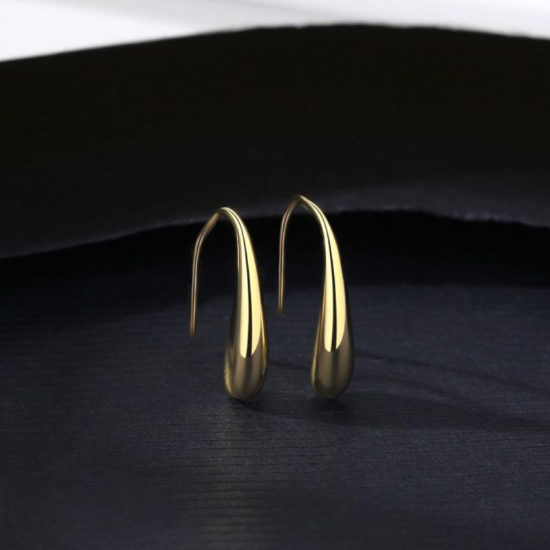 Exquisite Earrings 925 Sterling Silver Ear Stud for Women