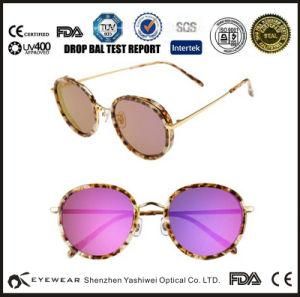 Colorful Acetate Sunglasses with Metal Temple for Korean