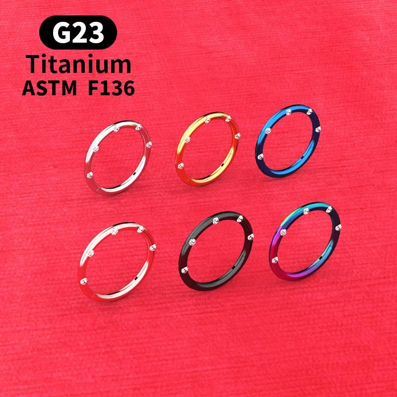 ASTM F136 Titanium Hinged Segment Ring Setting 5 Crystals Body Piercing Jewelry