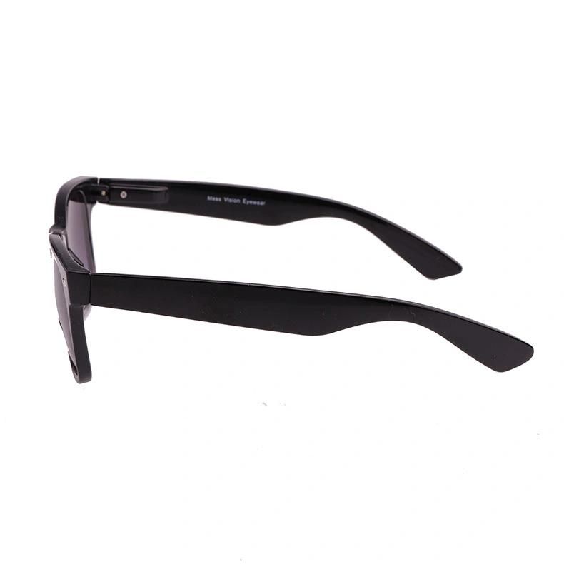 2019 Classical Wayfarer Sunglasses with Spring Hinge