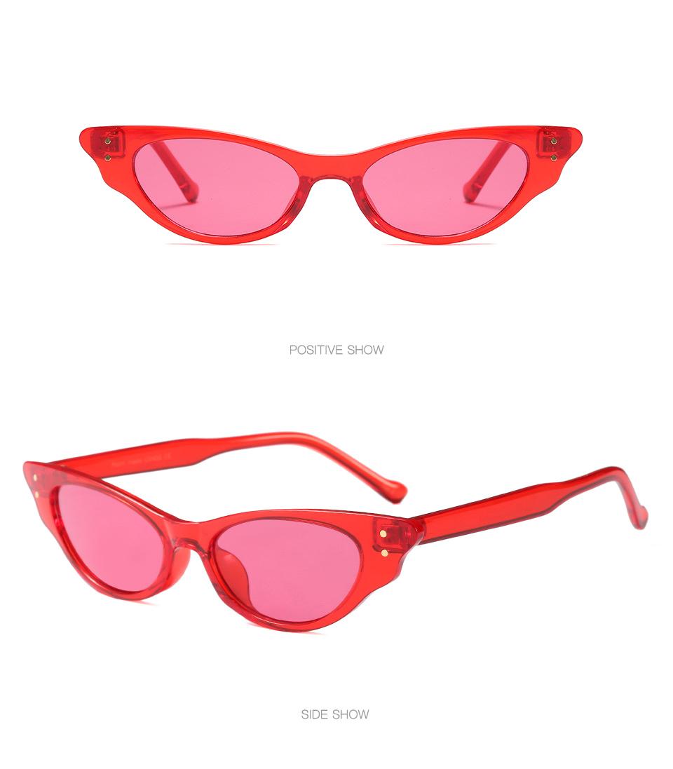 Trend Cat-Eye Sunglasses, Street Shooting Colorful Personalized Sunglasses