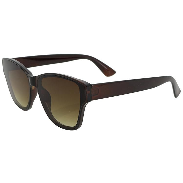 2022 Latest Simple Transparent Brown UV400 Fashion Sunglasses