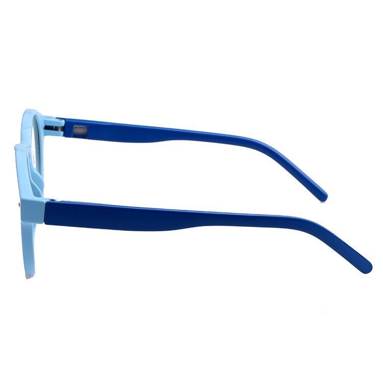 2019 Colorful Environmental Friendly Pet Recycle Sunglasses