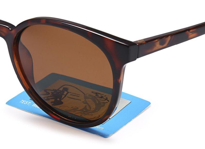 Factory Brand Fashion Style Sun Glasses Ready Goods Lady Round Cp Sunglasses