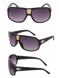 Popular Men Sunglasses (M6066)