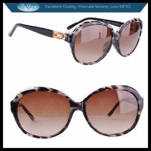 CE Plastic Metal Sunglasses