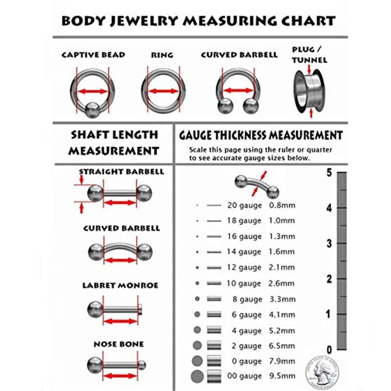 Titanium Daith Earring Hoop Solid G23 Cartilage Tragus Helix Rings 16g Titanium Septum Piercing Jewelry Hinged Segment Hoop with Clear CZ Paved