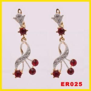 Earring- Fashion Color Stone Jewelry (ER-025)