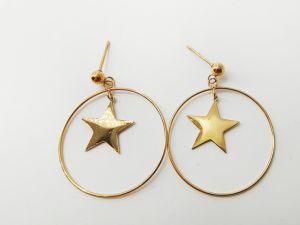 Stainless Steel 24K in Gold Color Earring