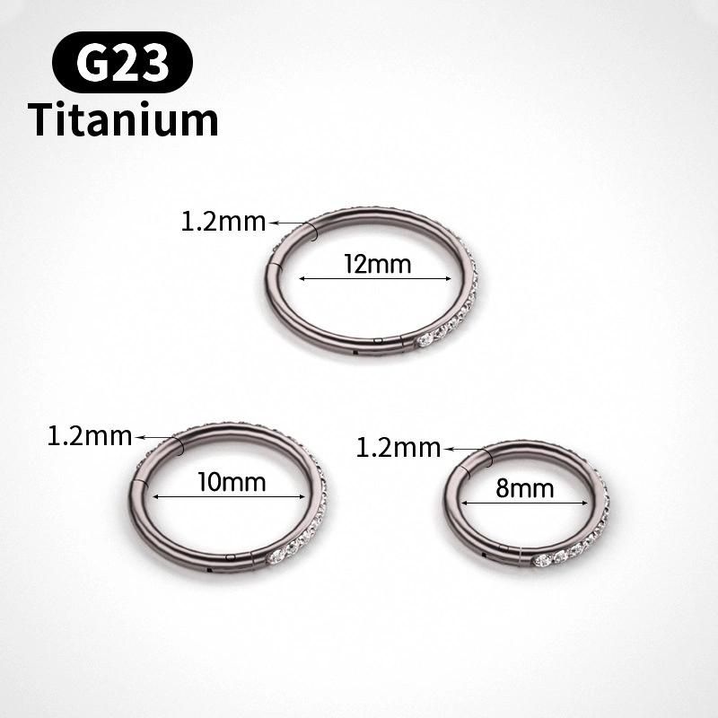 Earring Hoop 16g Titanium Septum Piercing Jewelry Hinged Segment Hoop with Clear CZ Paved