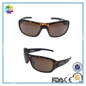 Brand Cycling Fishing Sport Fashion Sunglasses for Men