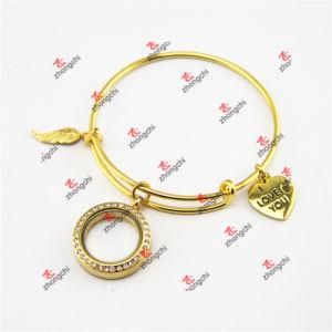 Fashion Gold Brass Locket Charms Dangles Bangles Bracelets (DEW60226)