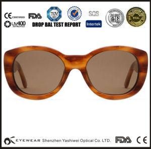 Tortoise Handmade Hot Selling Fashion High Quality Acetate Sunglasses