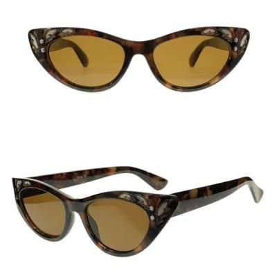 New Trendy Cat Eye Fashion Sunglasses