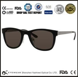 Newest Hot Sale Custom Brand Popular Polarized Sunglasses