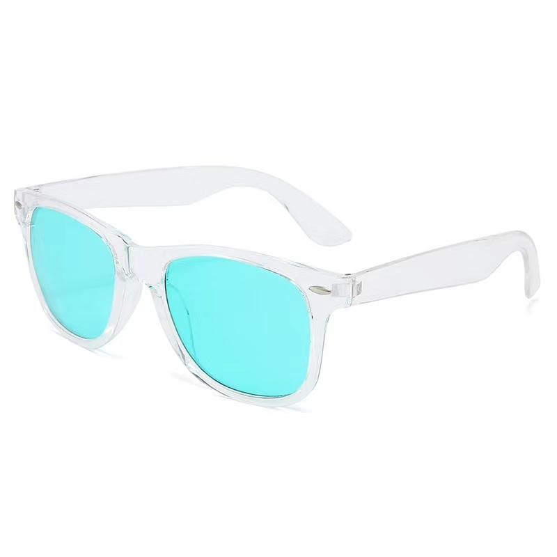 PC Sunglasses with AC Lens Wayfarer Models Rb3447