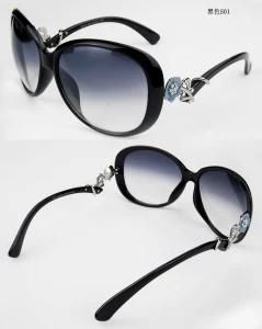 Lady&prime;s Sunglasses (DS110-C01)