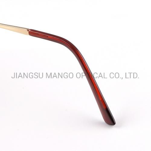 New Arrivals Popular Colorful Ladies Sunglasses