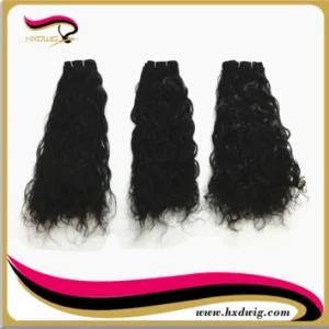 100%Peruvian Human Hair Weaving (HXD-039)