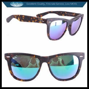 Portective Eyewear 2013 Sunglasses OEM