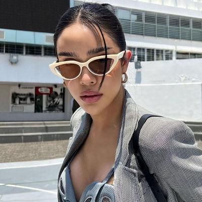 Women High Quality Custom Logo Sun Glasses Wholesale Famous Designer Cat Eye Shape Trendy Fashion Sunglasses