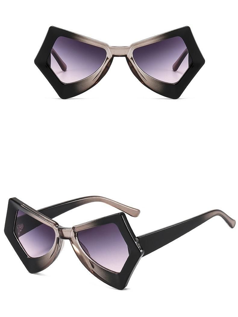 New Style Large Frame Cat Eye Ladies Sunglasses
