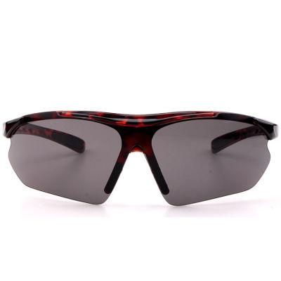 2019 Hot Selling Demi Color Safety Sunglass