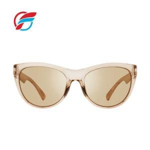 OEM Tr90 Injestion Plastic Rectangle Eyeglasses Sunglasses