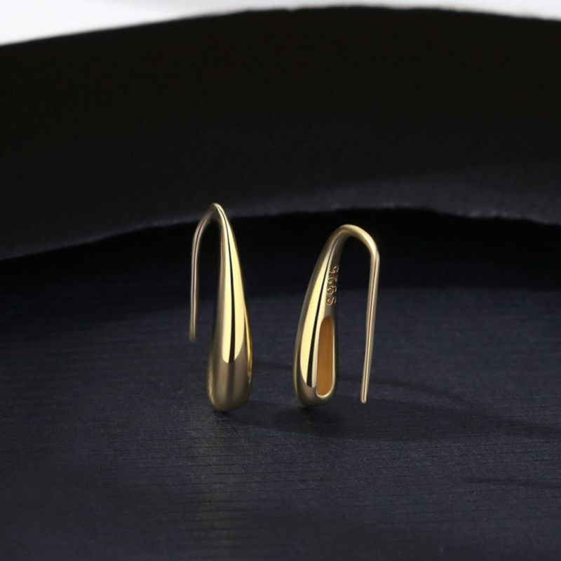 Exquisite Earrings 925 Sterling Silver Ear Stud for Women
