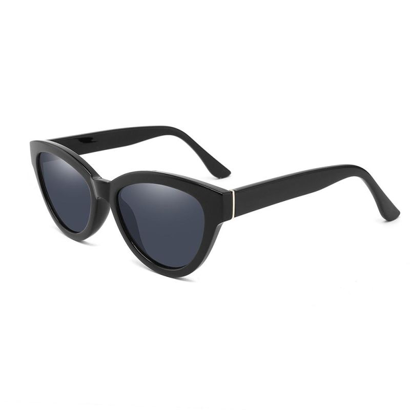 New Arrival Sunglasses Vintage Big Frame Cat Eye Fashion Sun Glasses