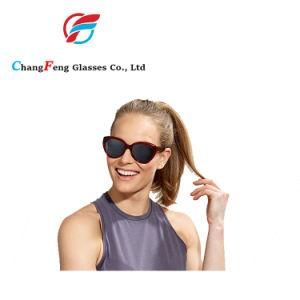 Custom OEM/ODM High-Grade UV Protection Tr90 Nylon Injection Sunglass Manufacturer