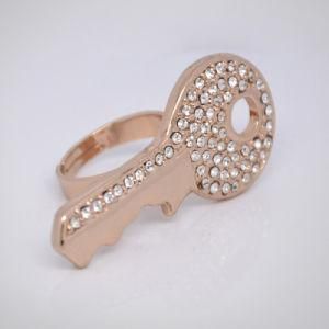 Fashion Stainless Steel Key Ring (RZ6051)