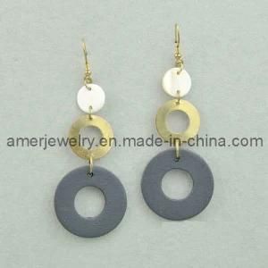 Jewelry / Jewellery / Fashion Earring (EN1107002)