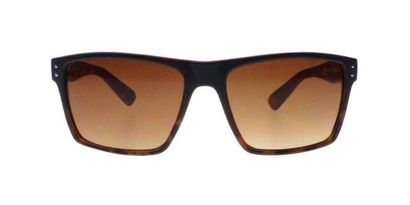 2021China Manufacturer Fashion Style Casual Life Men Sunglasses
